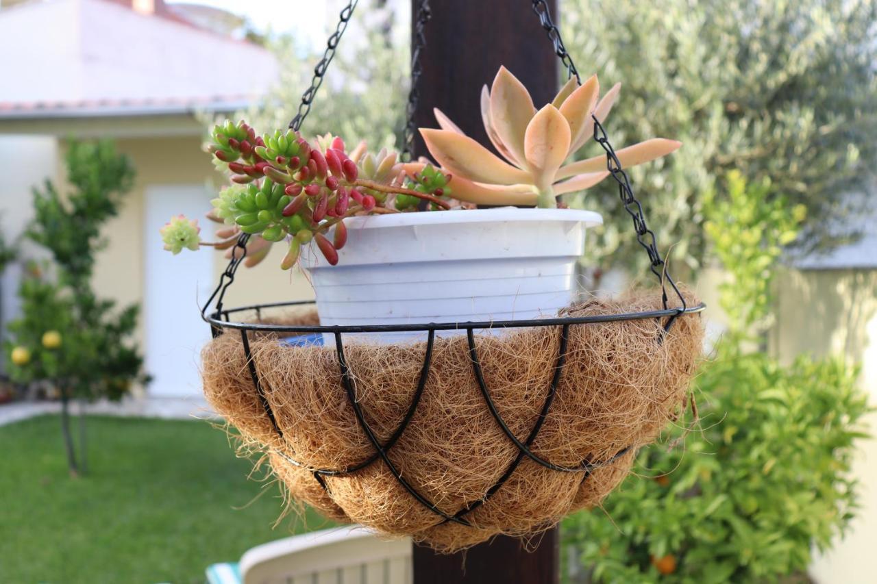 Privatunterkunft Arouca Guest House
